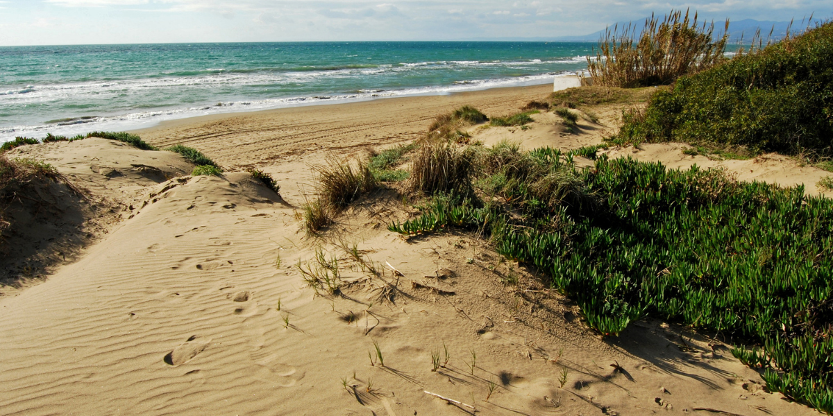 Artola Beach and Sand Dunes.png (1.56 MB)