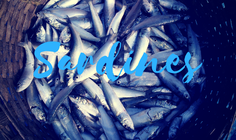 sardines.png (740 KB)